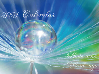 水滴カレンダー2021